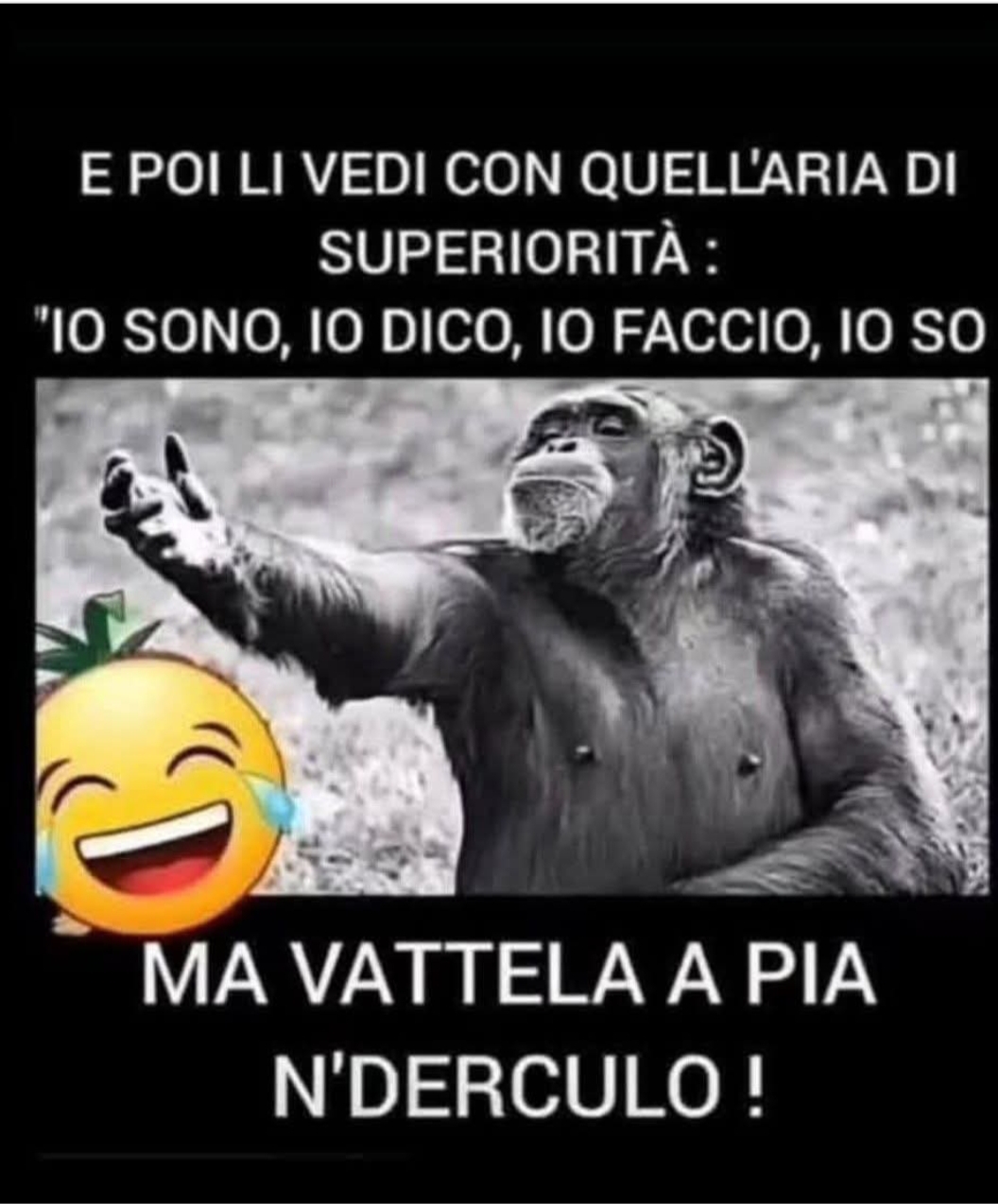 @🐾Zia Barby🐾