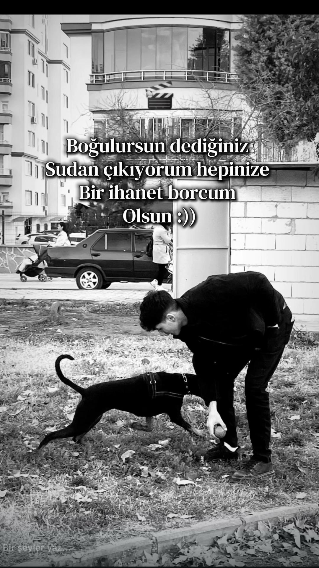 @kursat_dmn7
