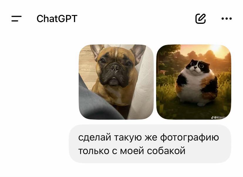 @софiйко