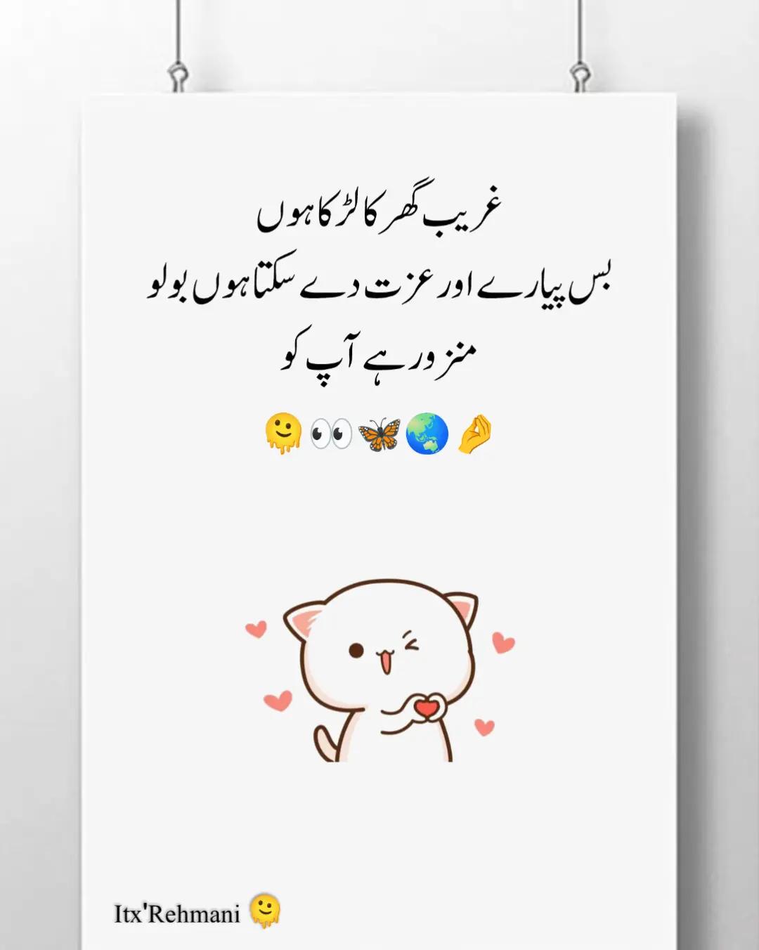 @Itx'Rehmani