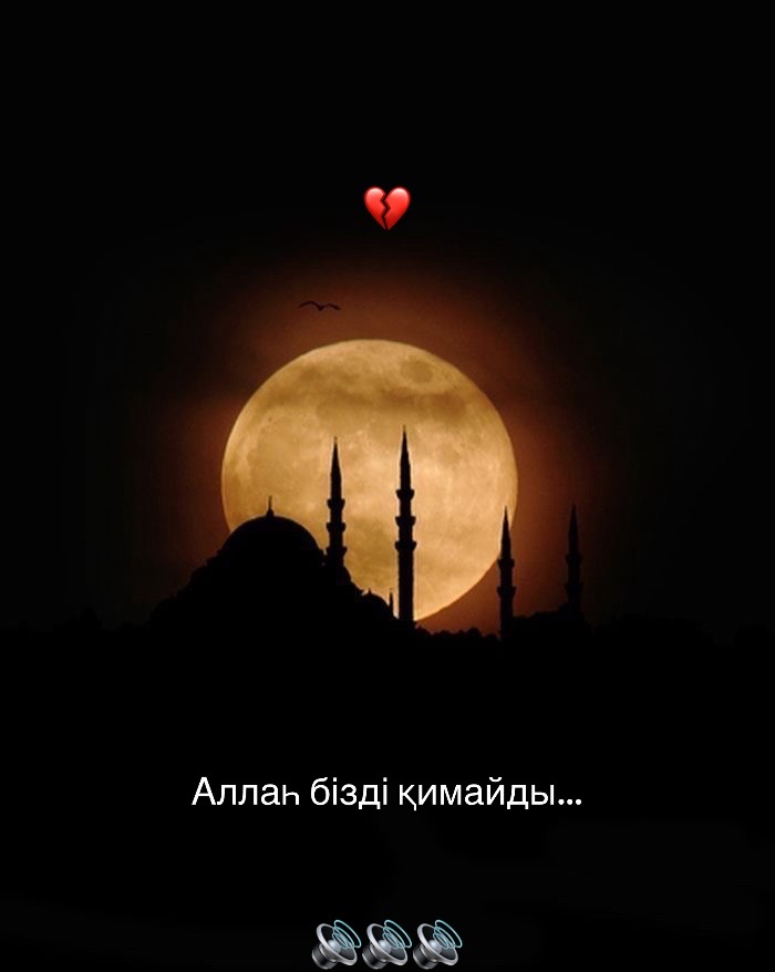 @zhurekemy🤍