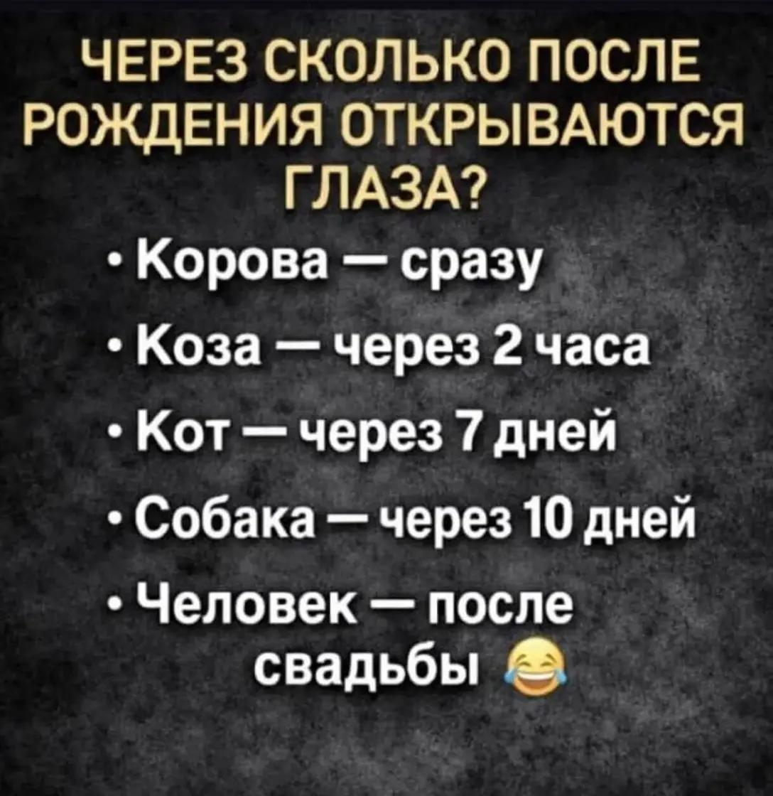 @𝓛𝓮𝓷𝓸𝓬𝓱𝓴𝓪