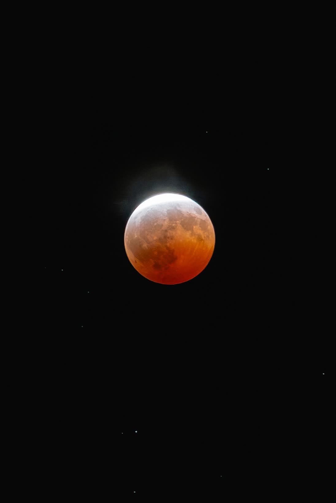@Shane Nester