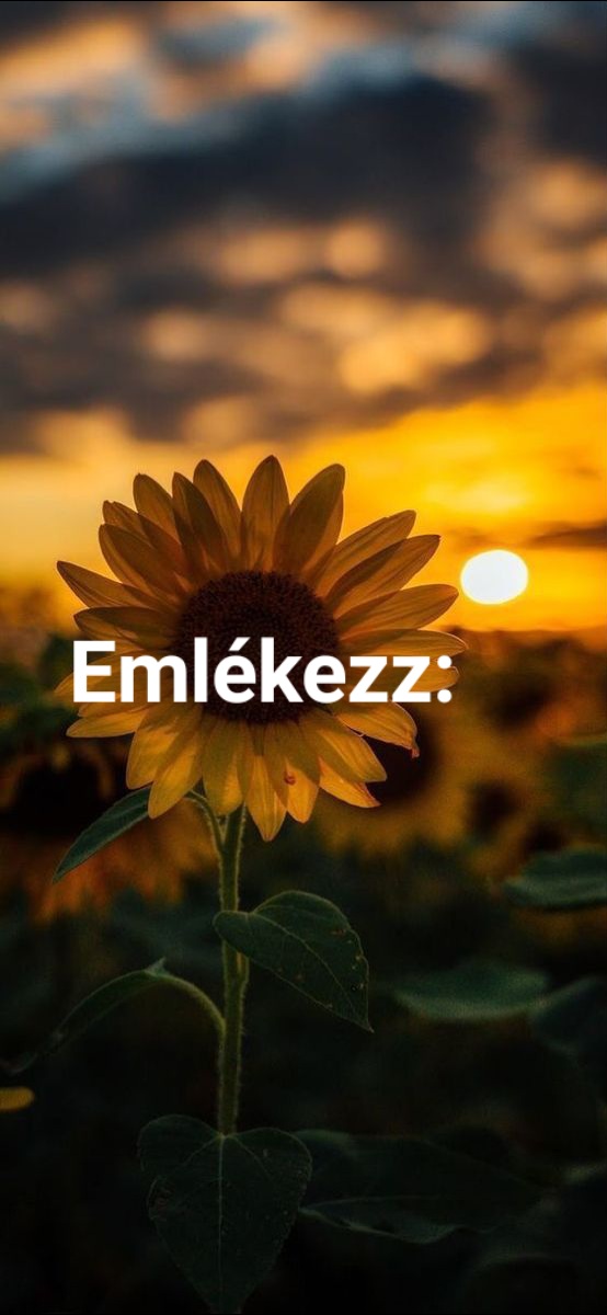 @G.Viky