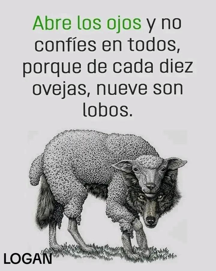 @Daniel Alba