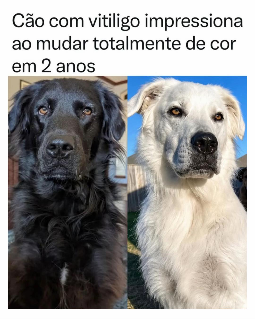 @Alfinetei