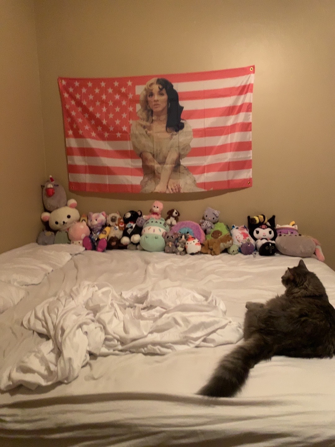 @TacoCat🌮🐈