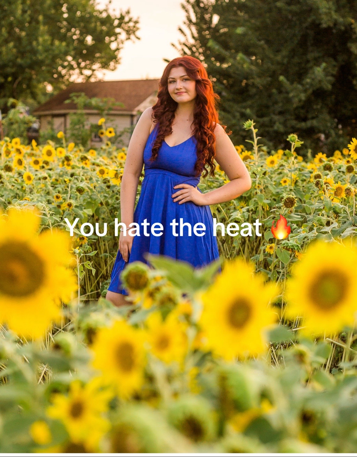 @Bella