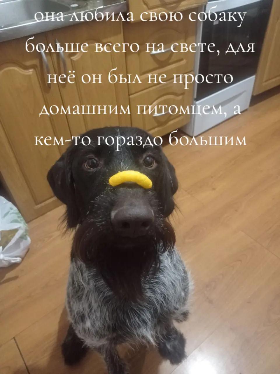 @певица вира королева