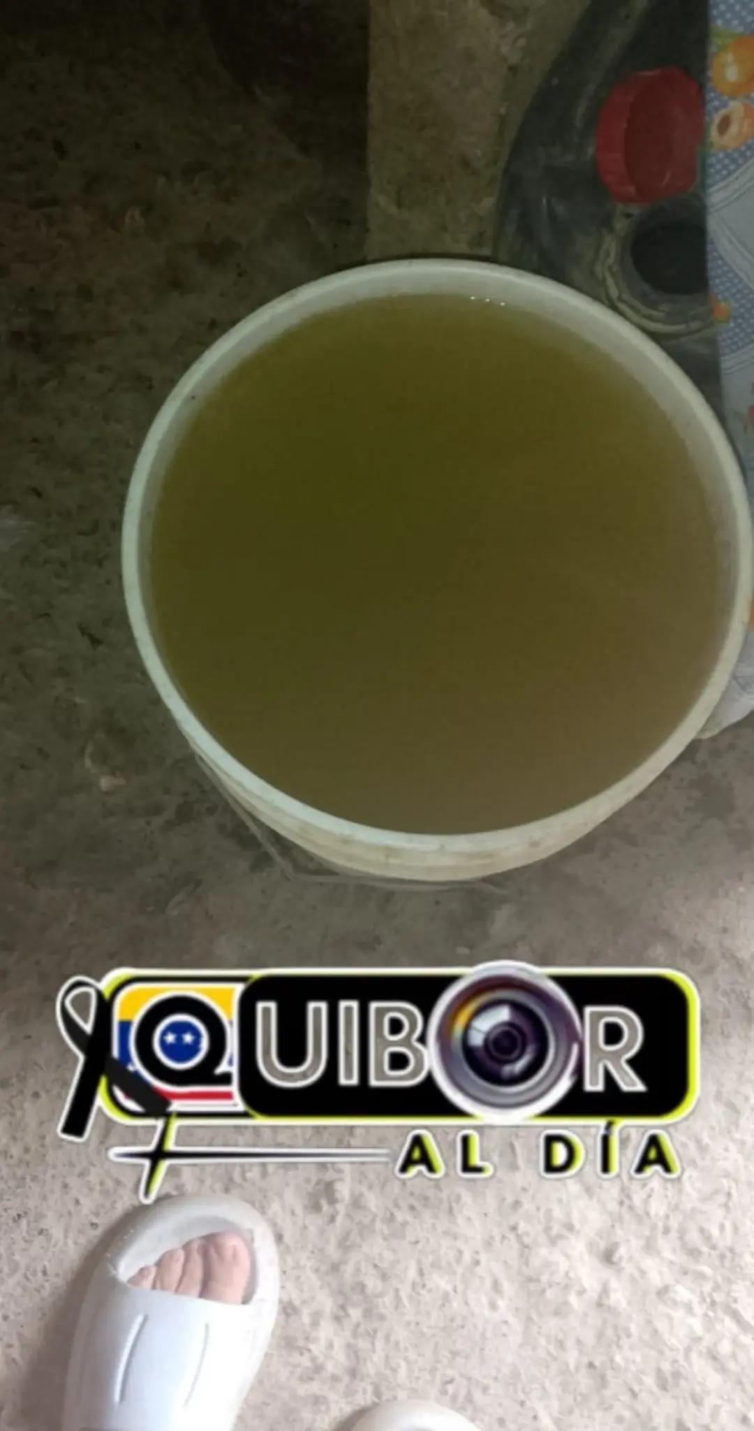@Quiboraldia
