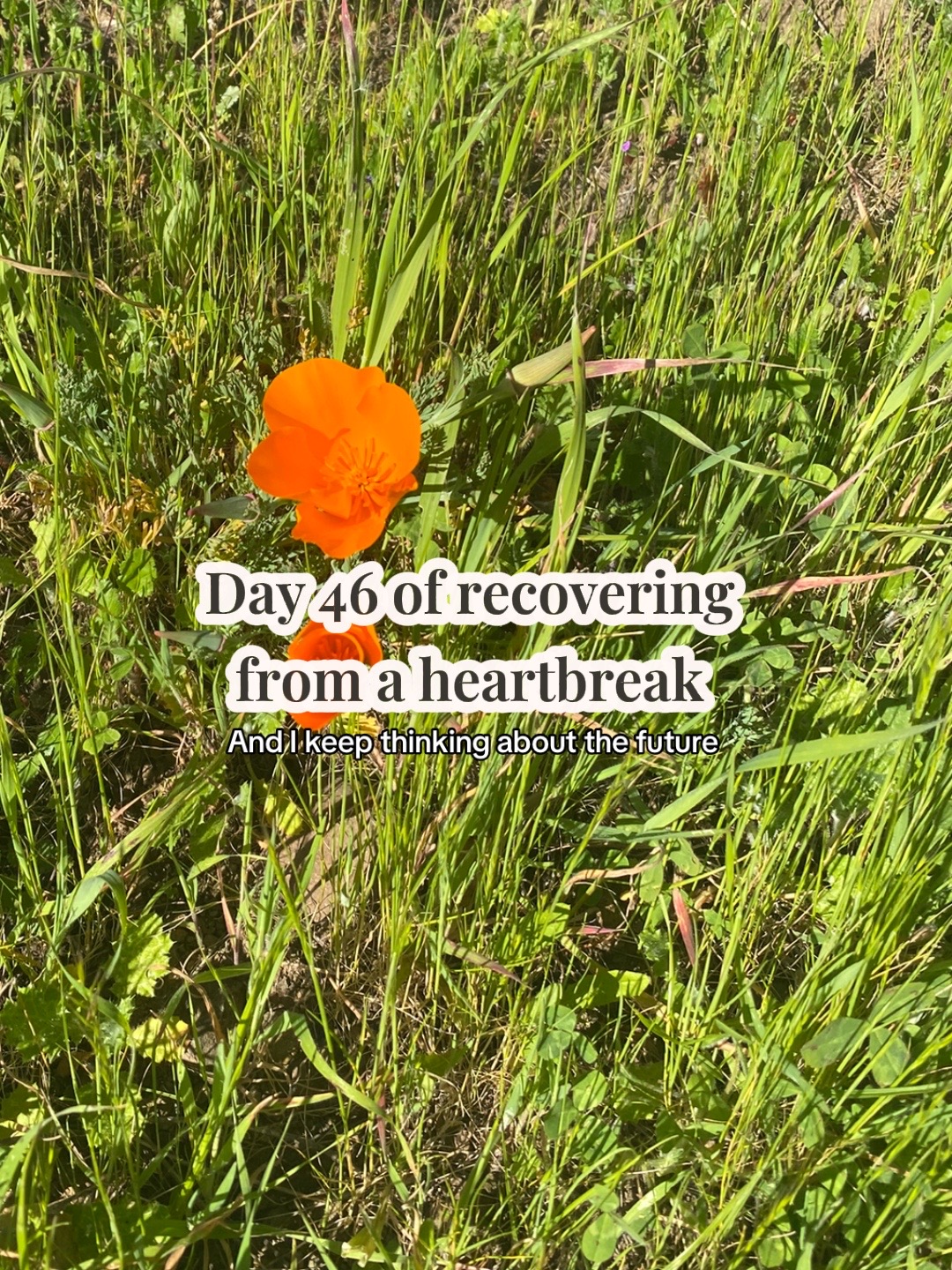 @heartbreak in recovery