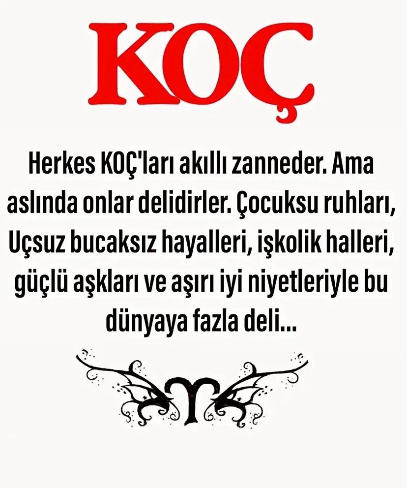 @kocburcu6