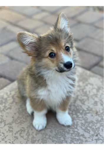 @kayneelyy
