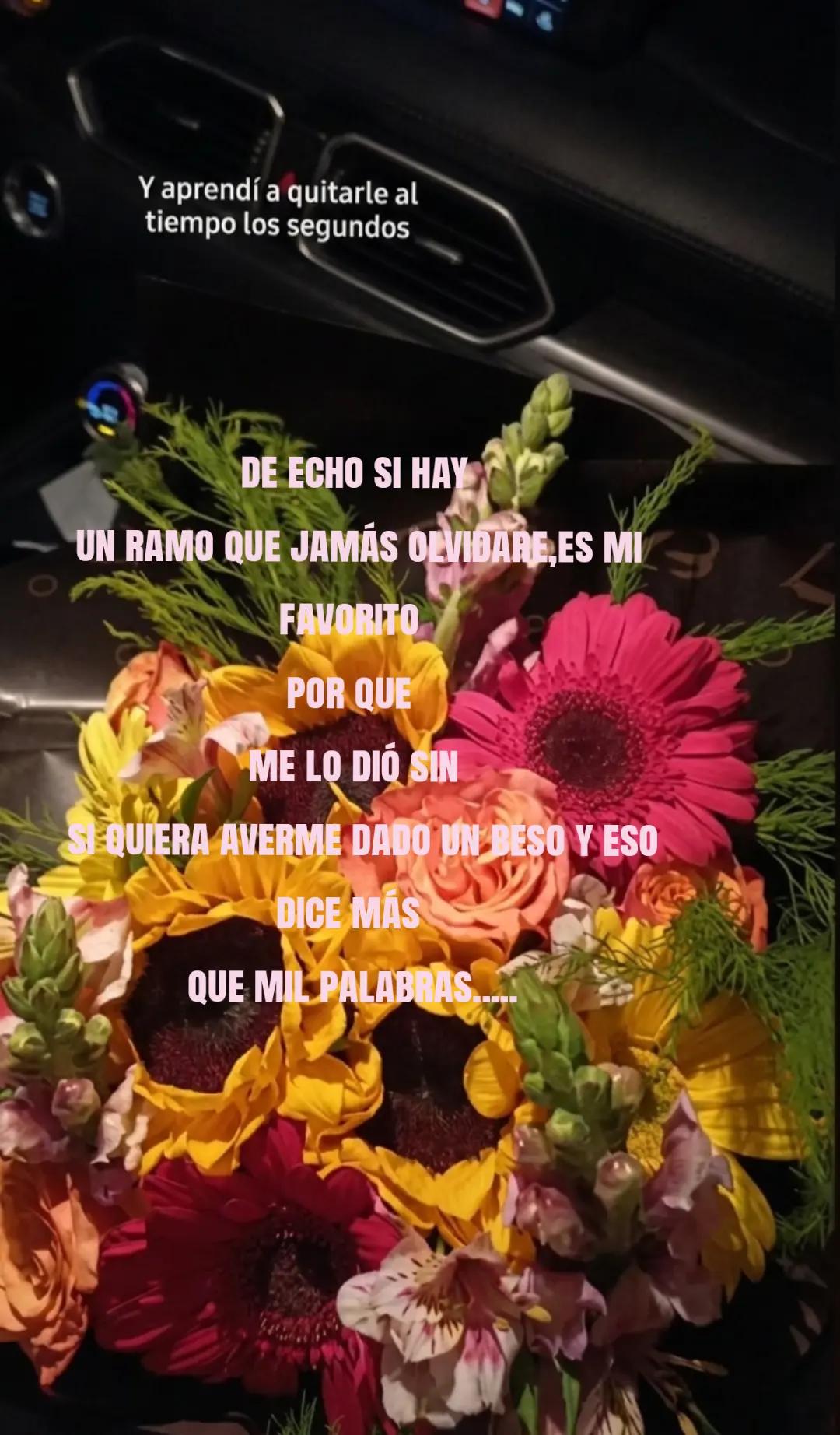 @user666🤸🏻♀️