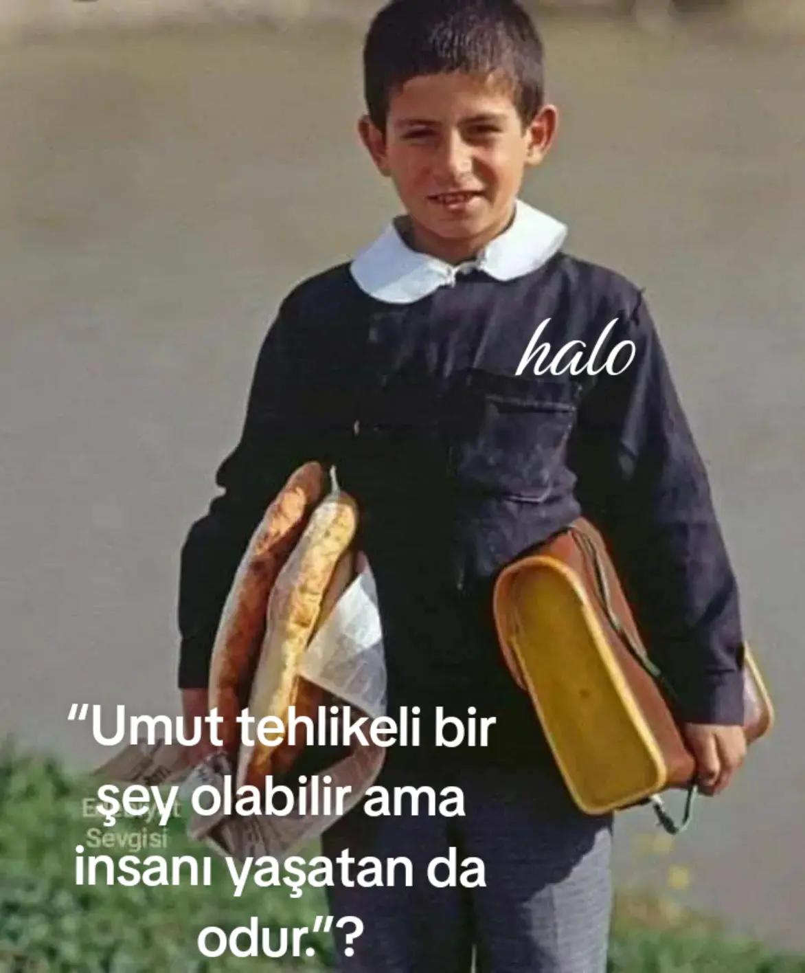 @Halo