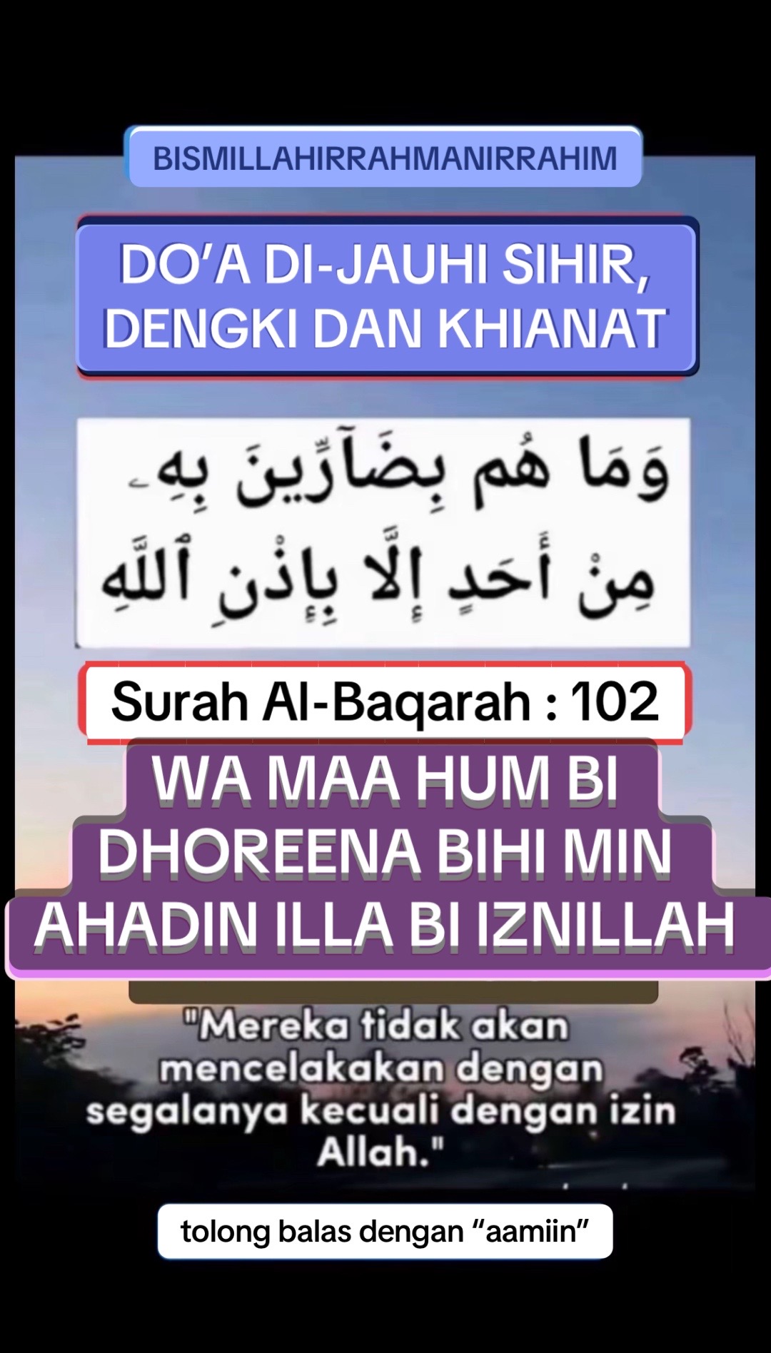 @Aiman SuLe
