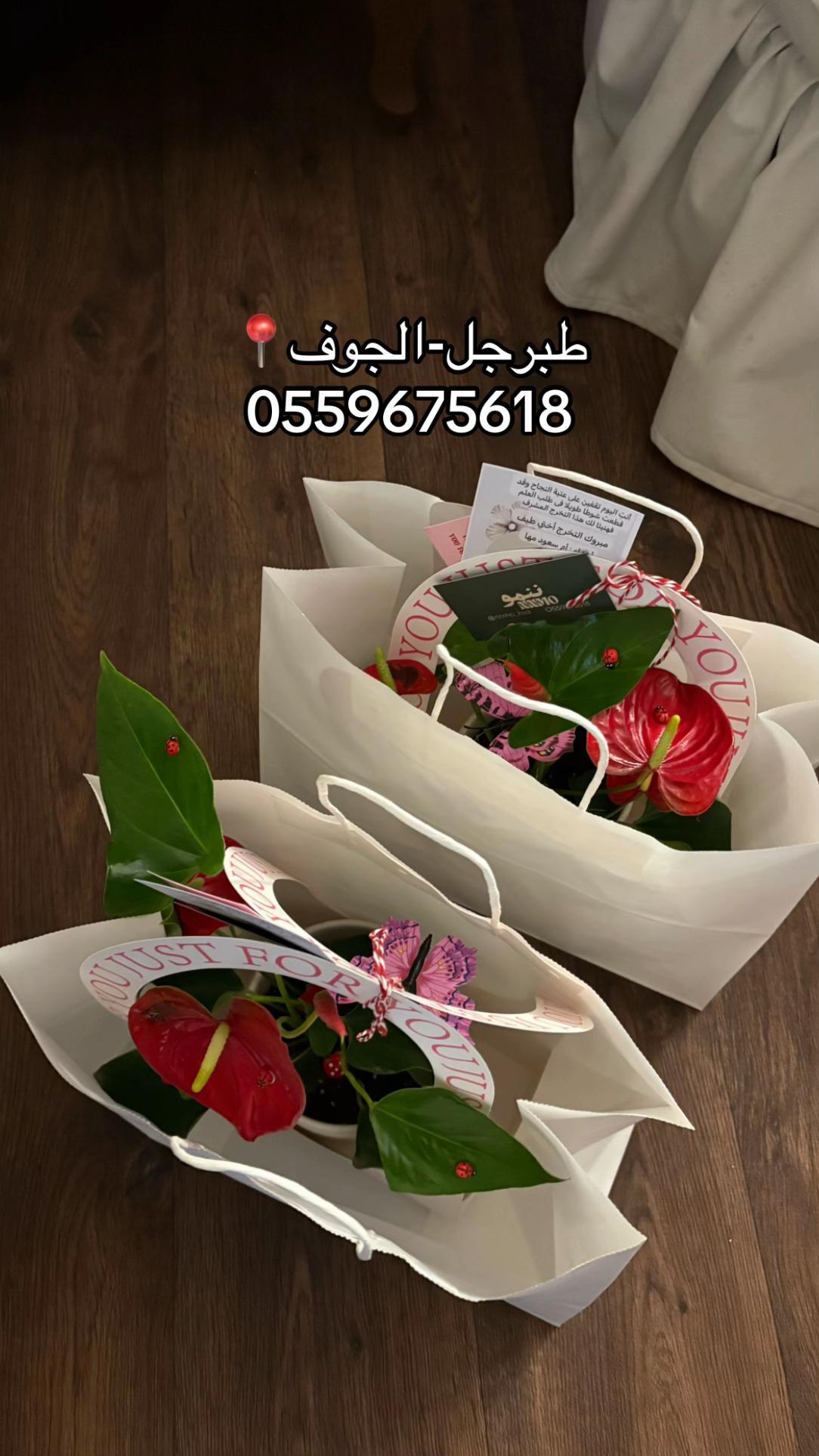 @ููู
ู๐ฑ/ูุจุงุช ุฏุงุฎูู ุงูุฌูู ๐