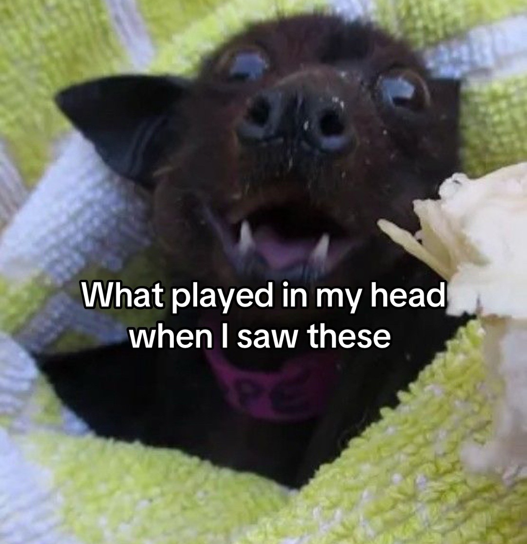 @🦇Lukas🦇