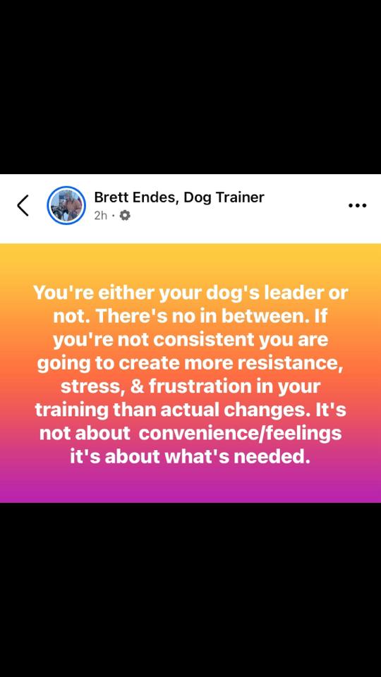 @The Dog Savant
