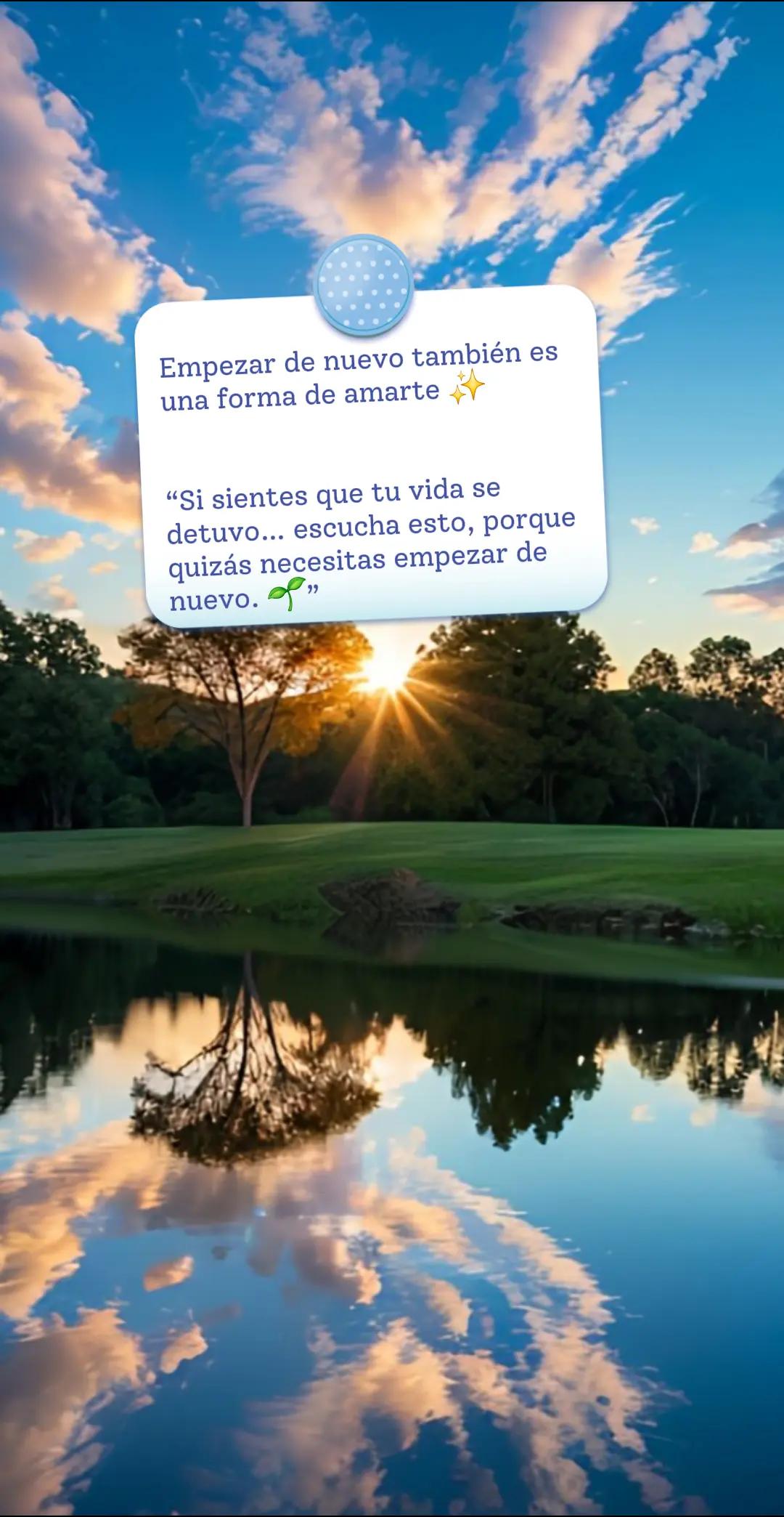 @Vivebonito
