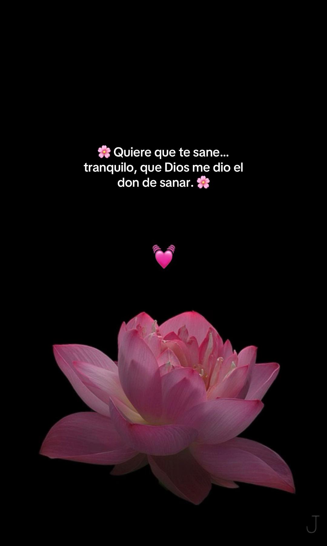 @paratod5