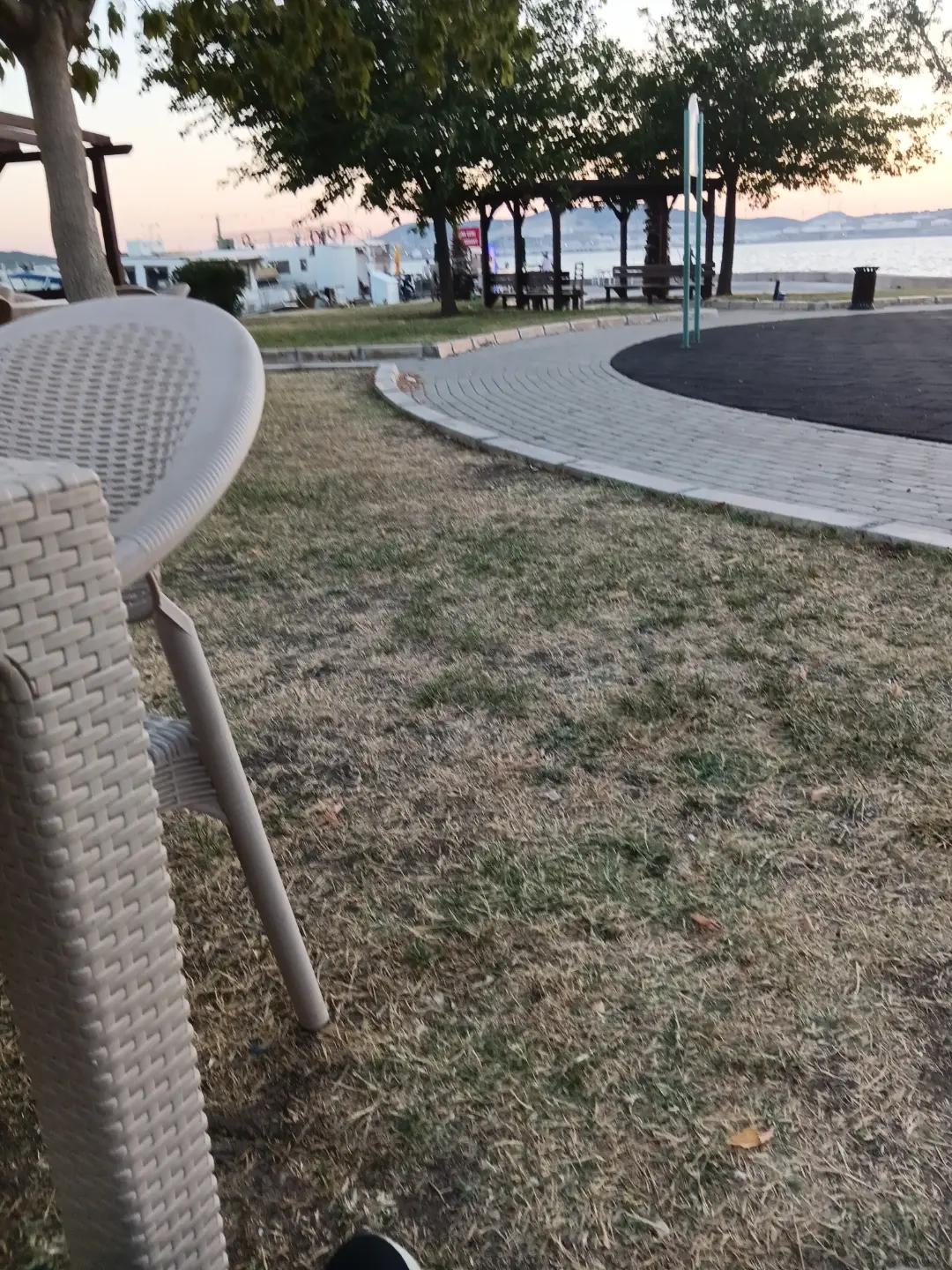 @35mehtap