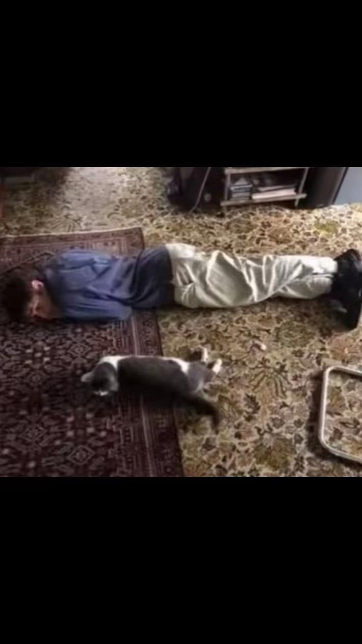 @😹