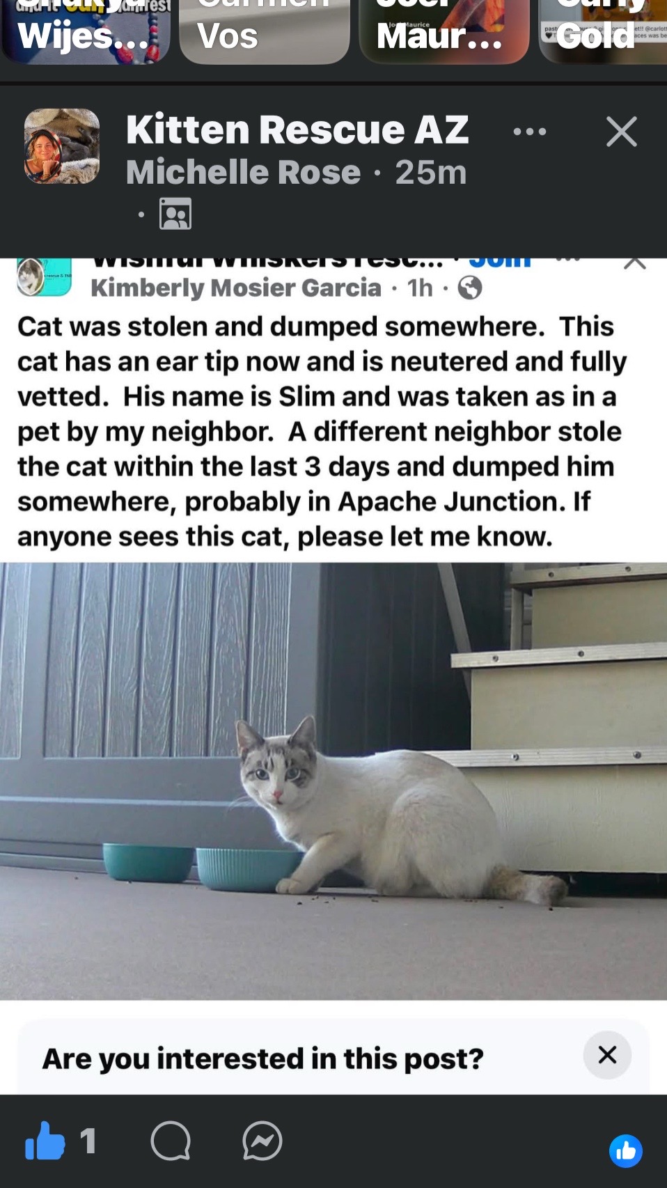 @purrrmeow