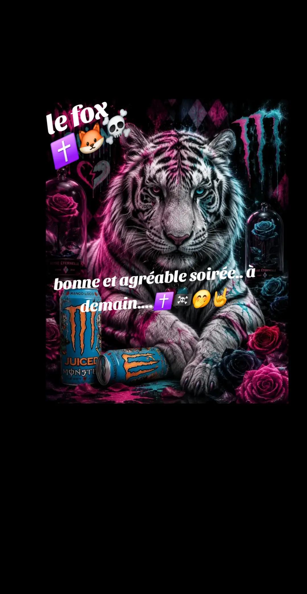 @🇫🇷Le fox✝️🦊☠️white vixen✝️