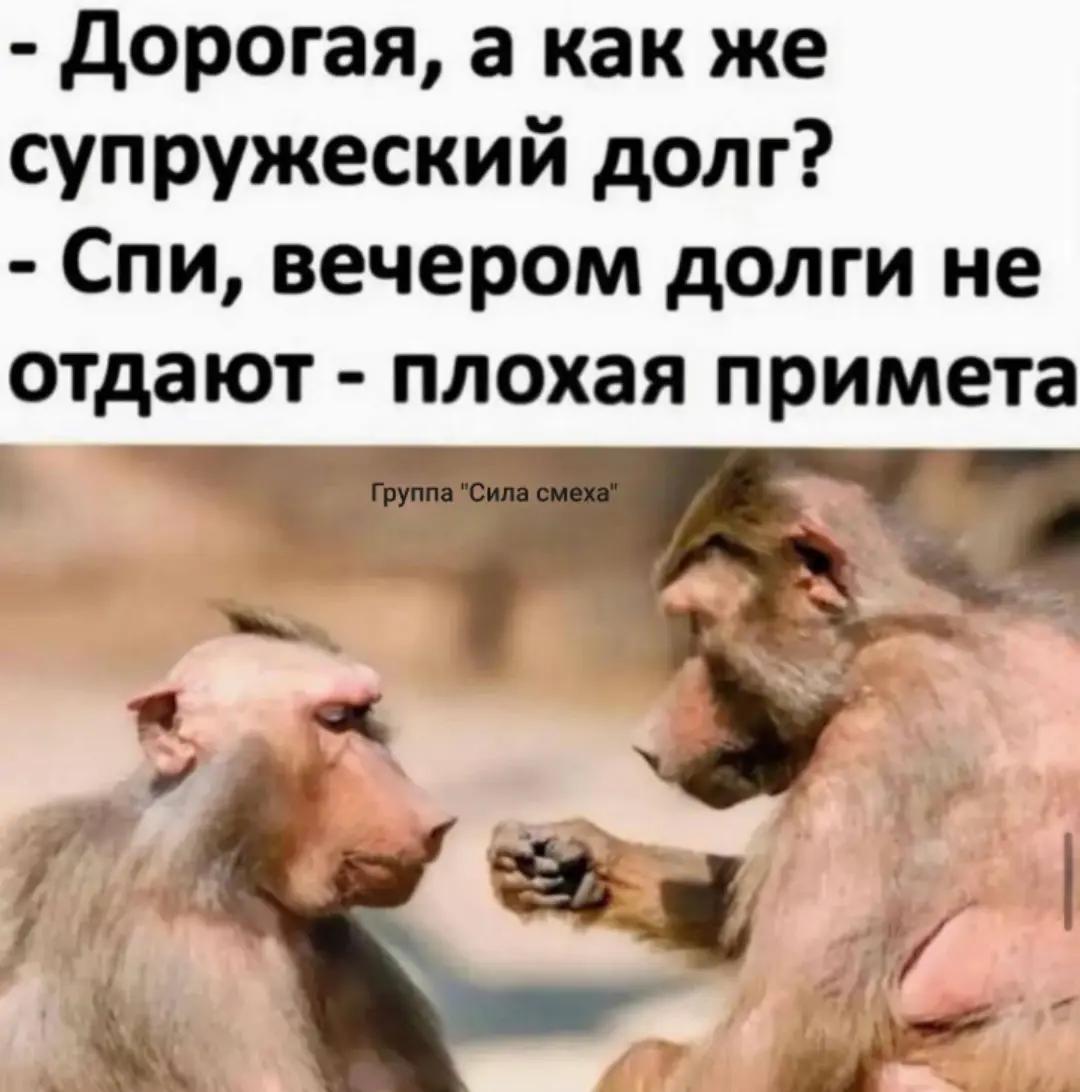 @Диман