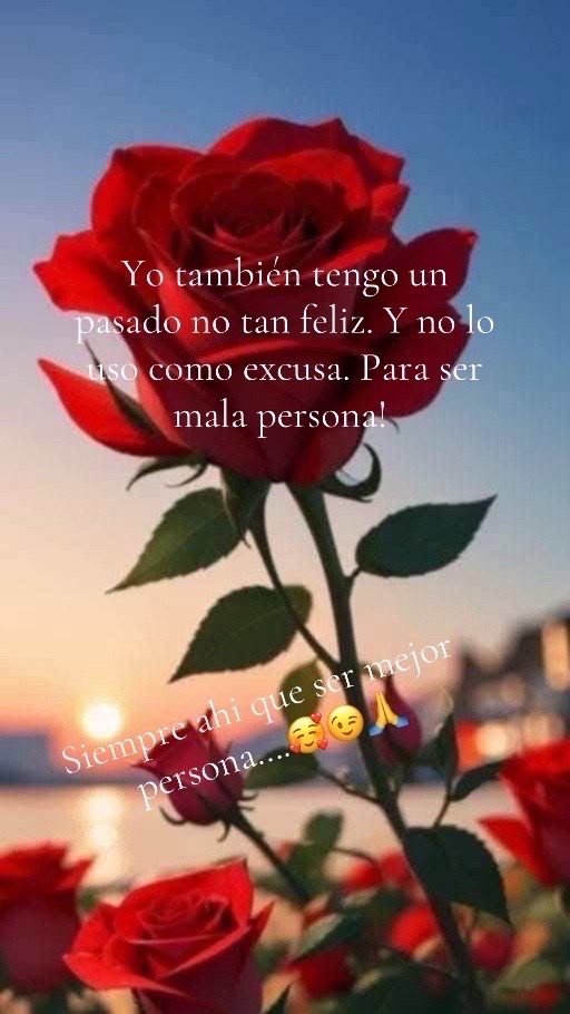 @soyXol888