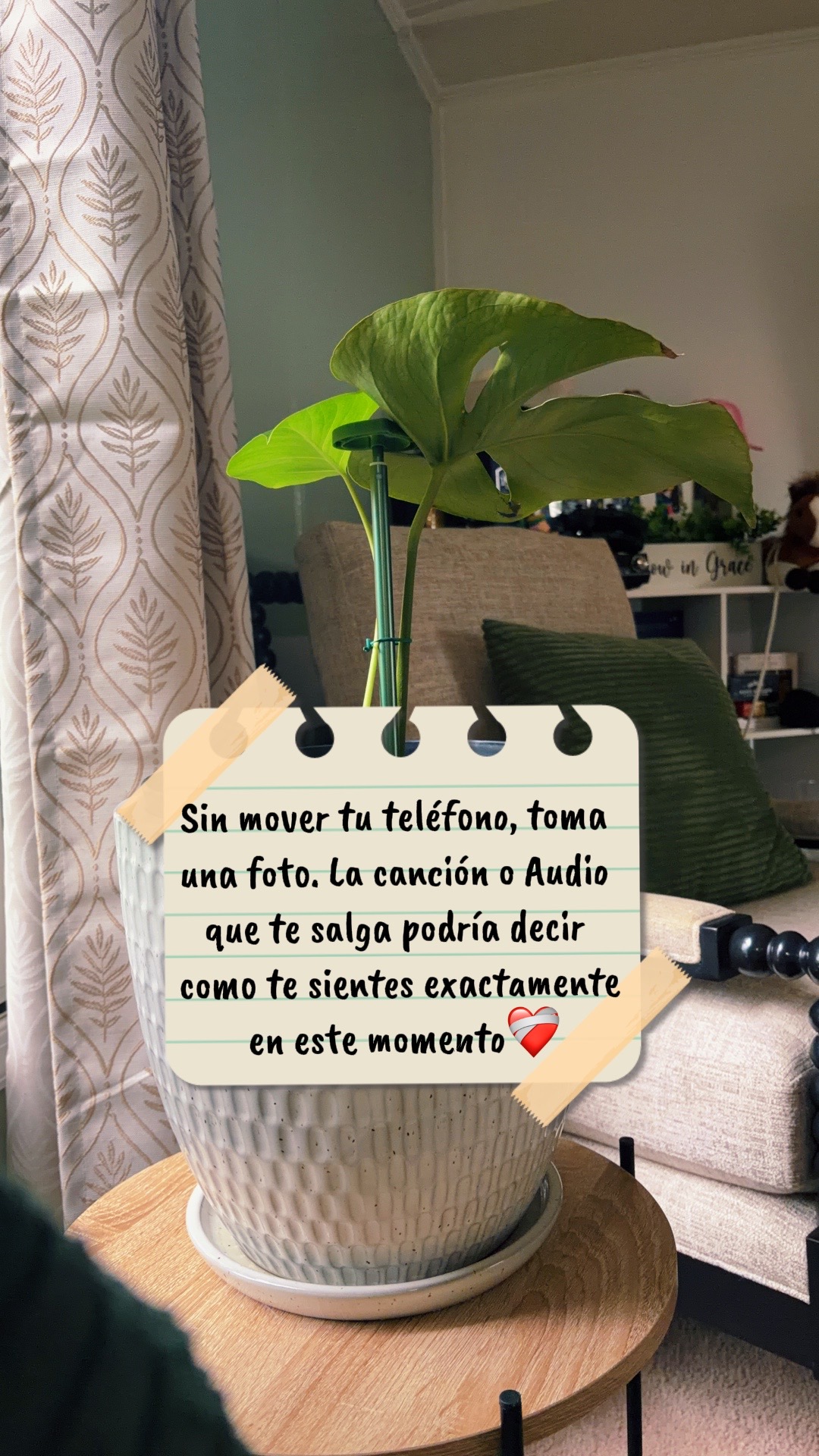 @Giselle Posada Official