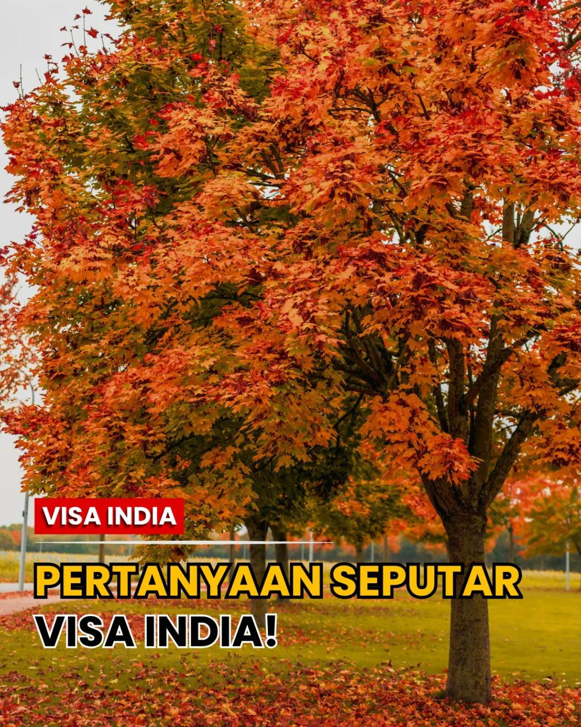 @TRAVEL TRIP KASHMIR INDIA