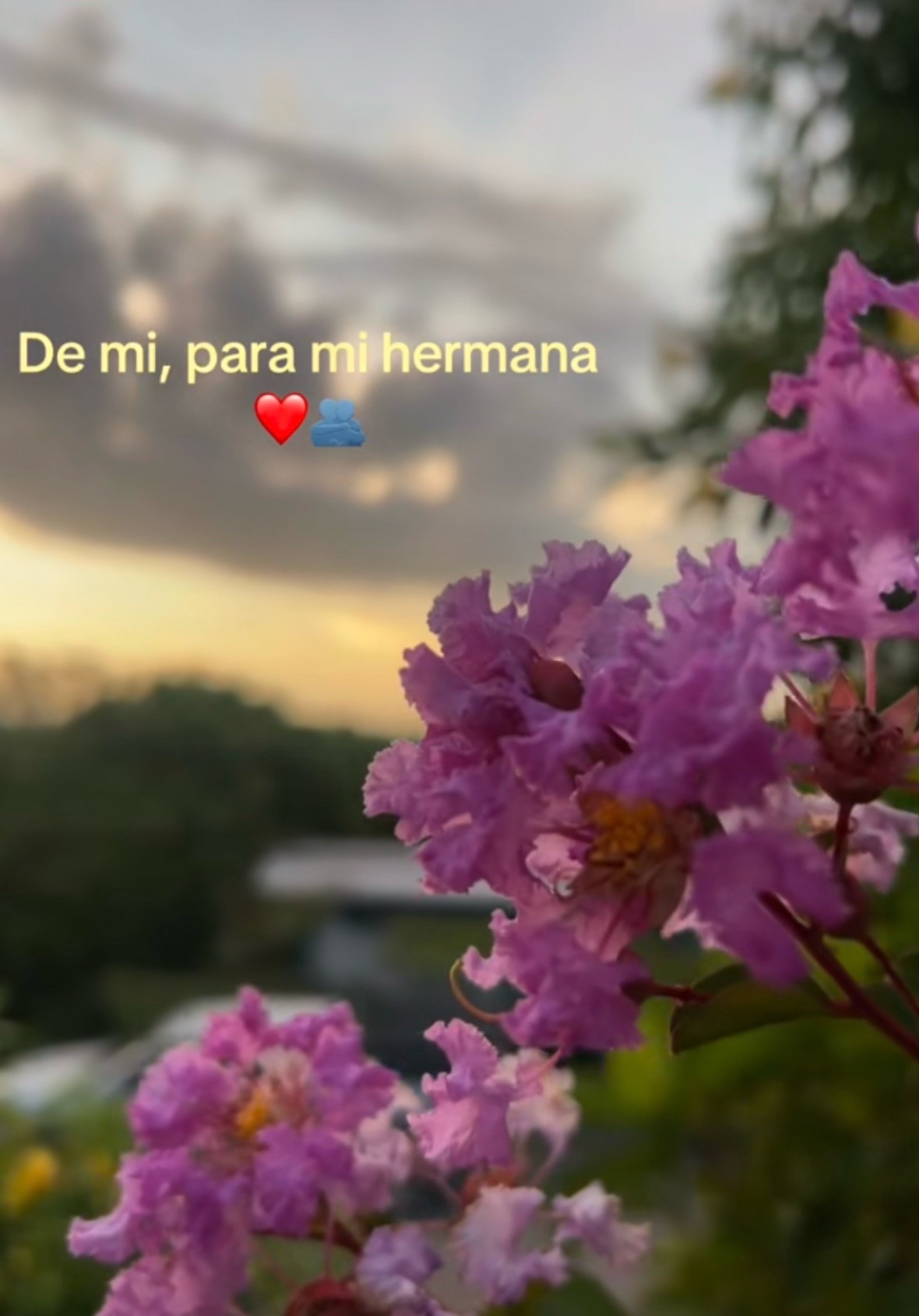 @Natasha🦋