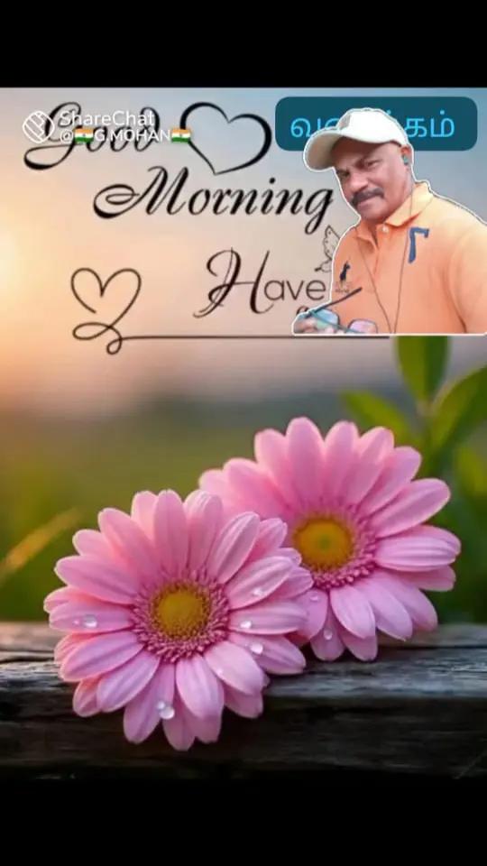 @chinna 🌞gounder