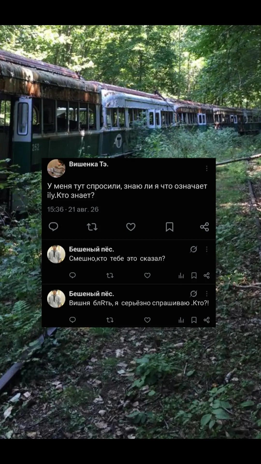 @бешеный.