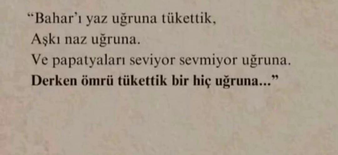 @Albatros