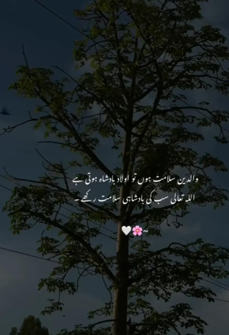 @innocent girl