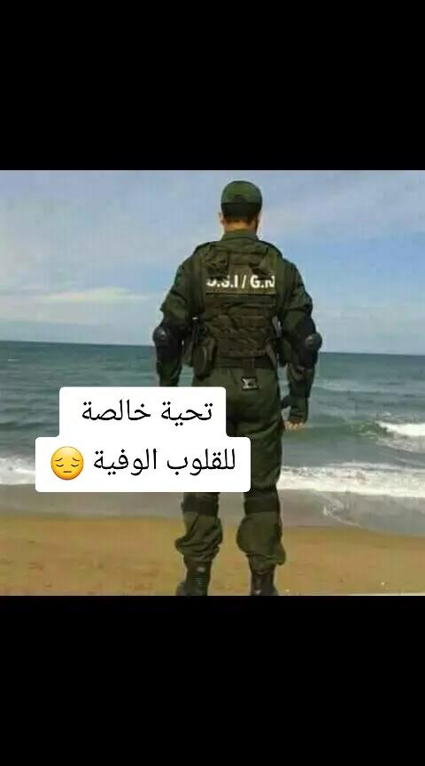@الشاوي الصاعقة Bsi