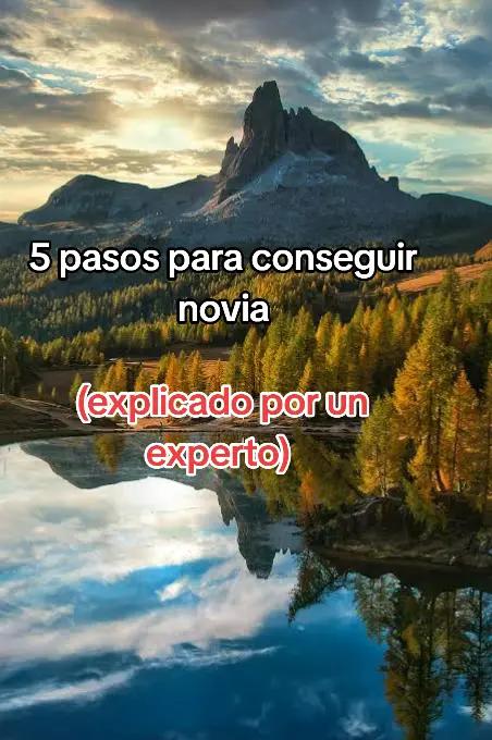 @soyedi11