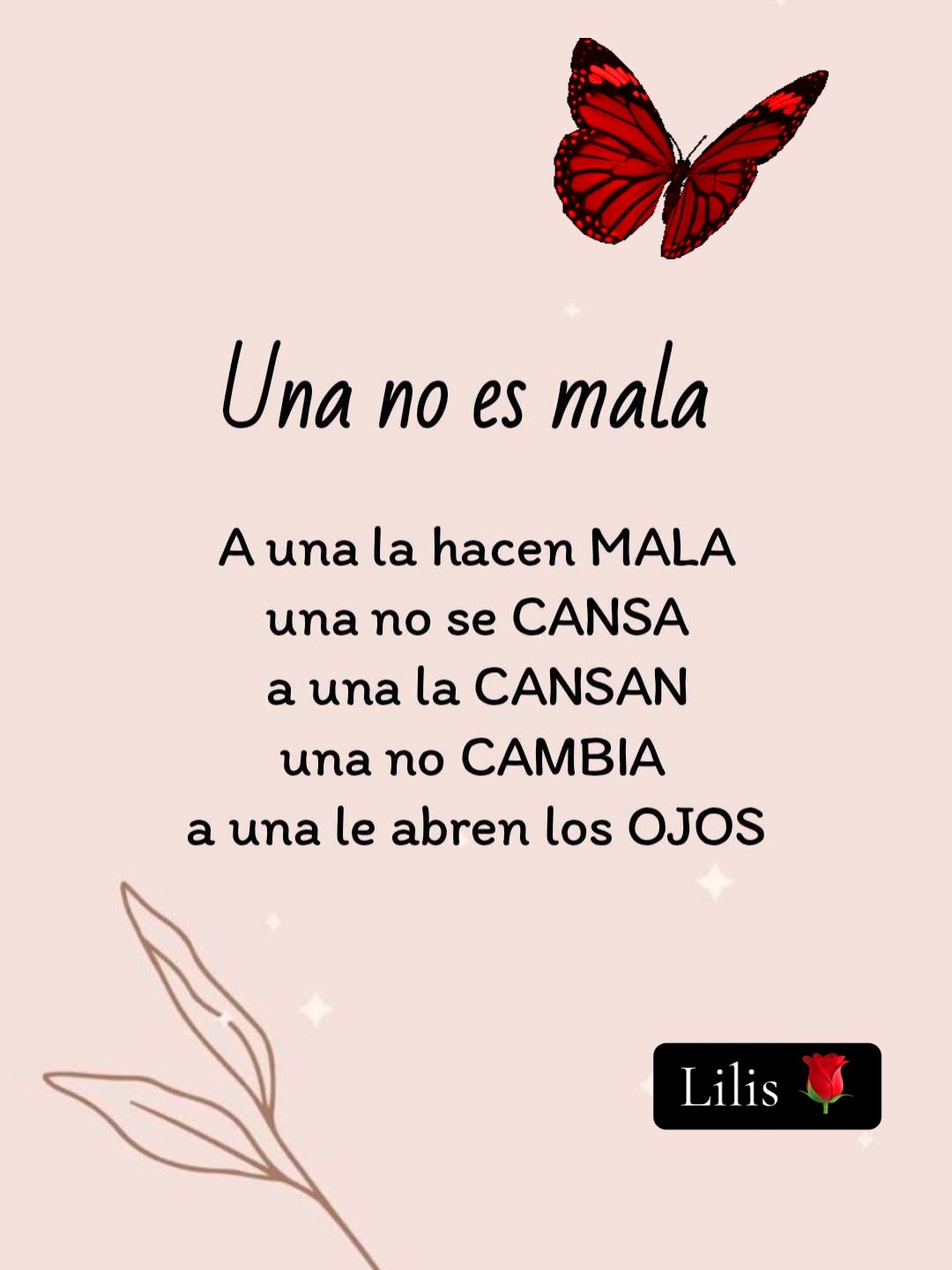 @🌹 Lili ❤️
