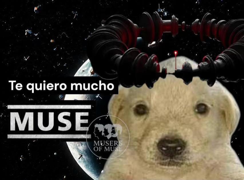 @Musers of Muse Mexico