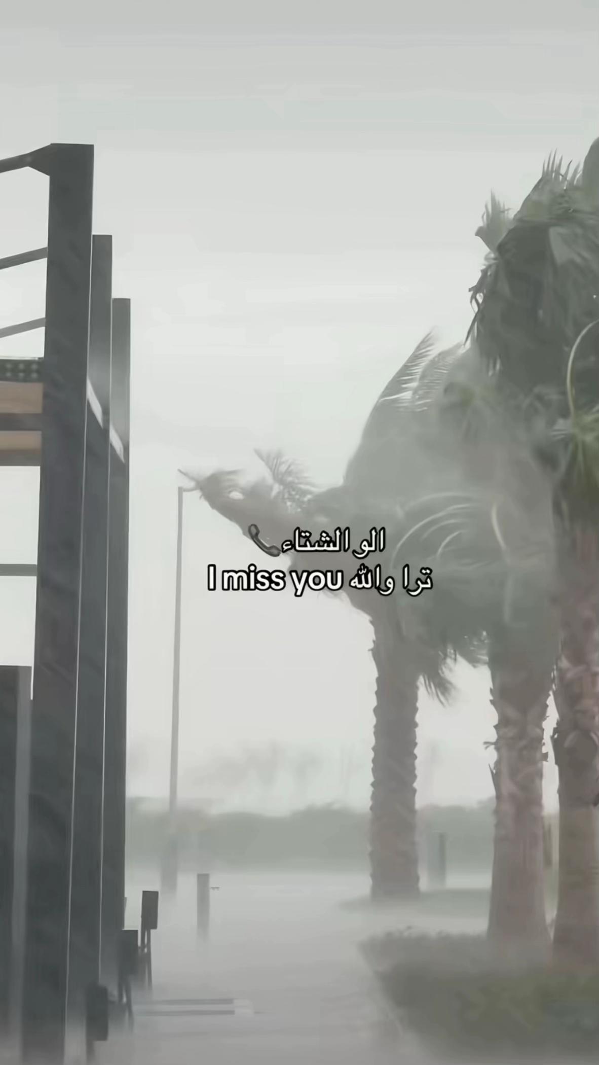 @abdou_lch