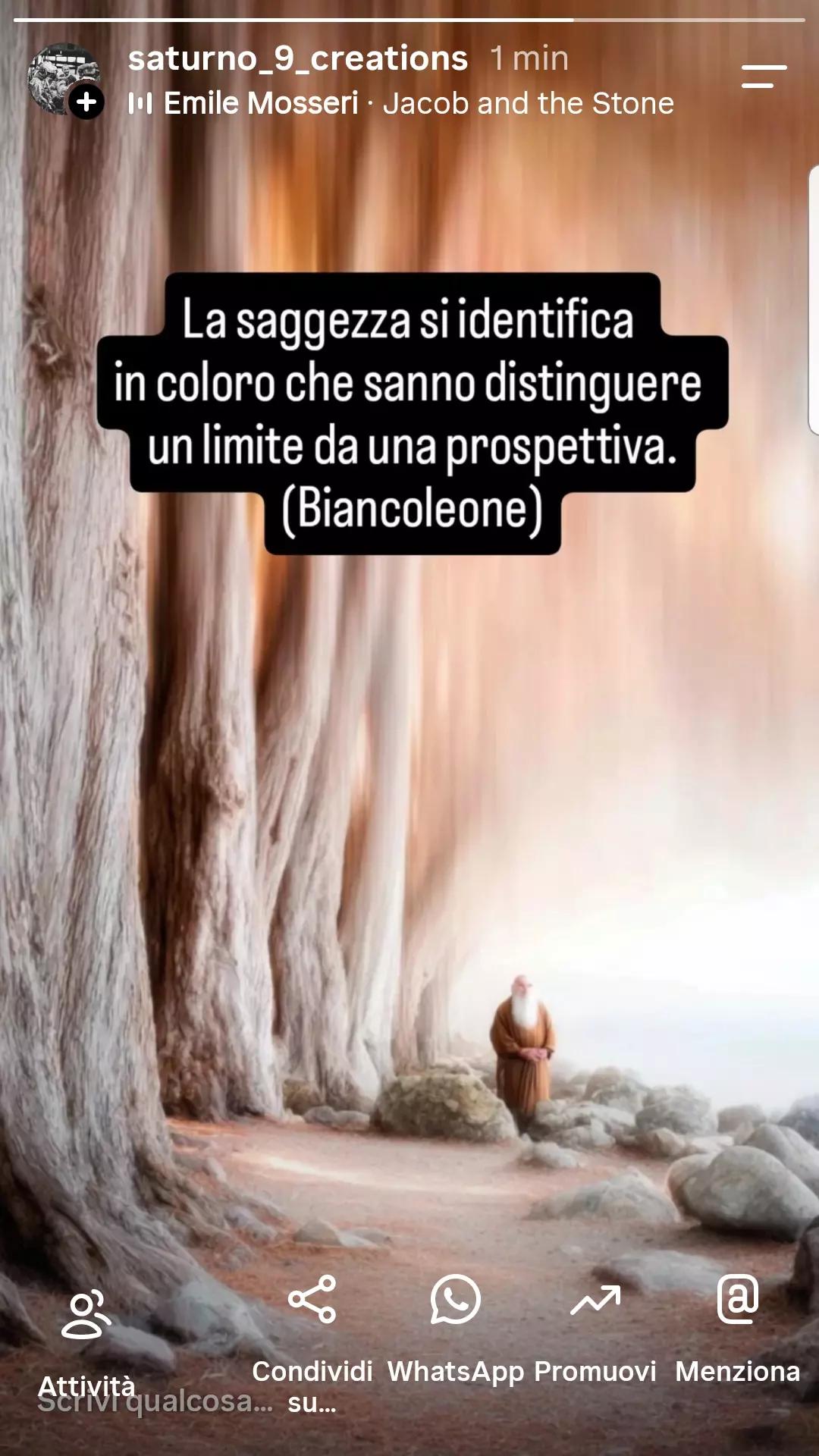 @SATURNO 9 CREATIONS