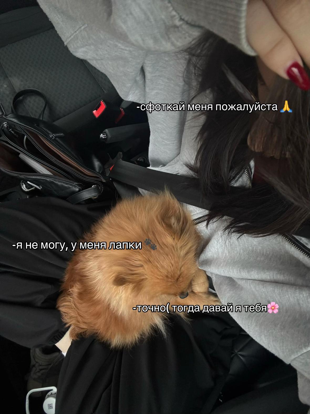 @ТГ: bymilkiss9