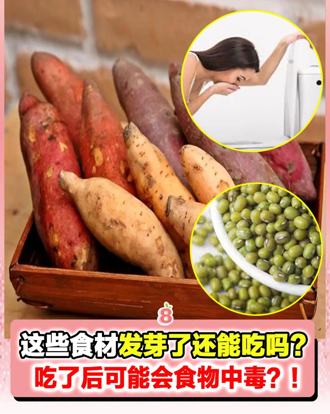 @8guava.com|大马好吃好玩好康