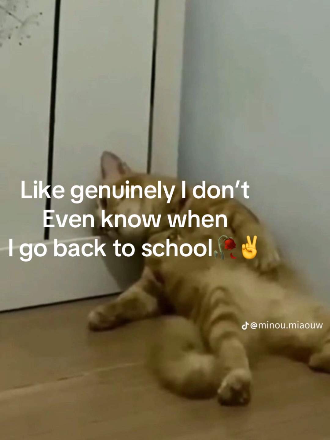 @who.is_sevan