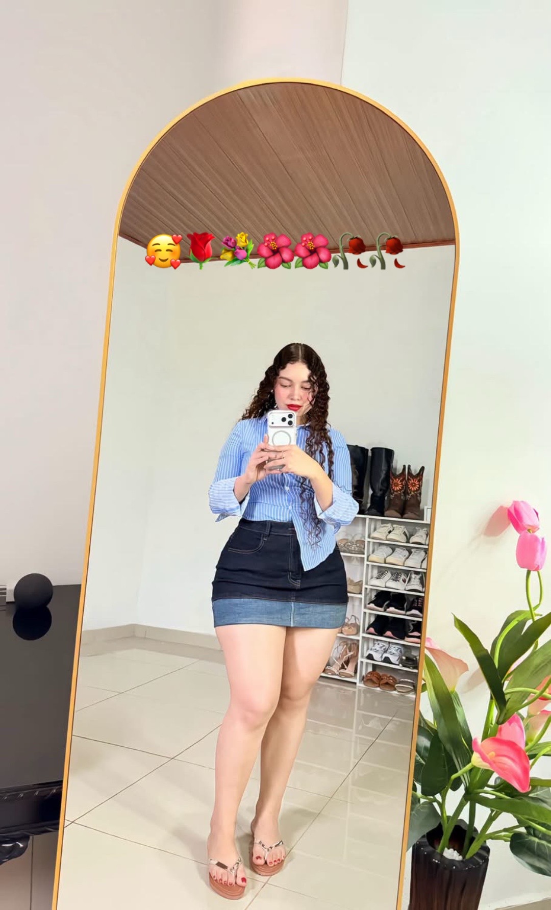 @Jeidy Anariba