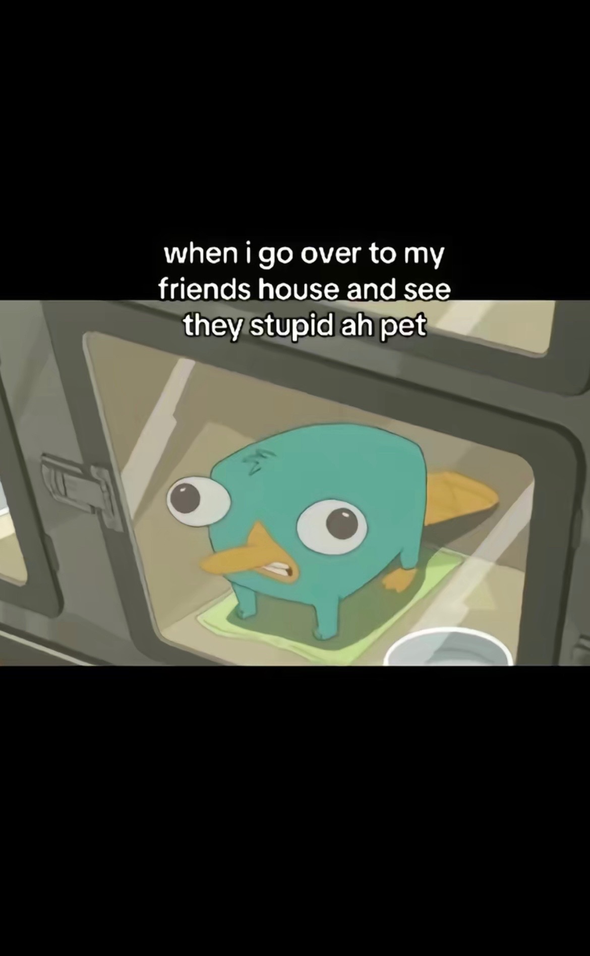 @mattie