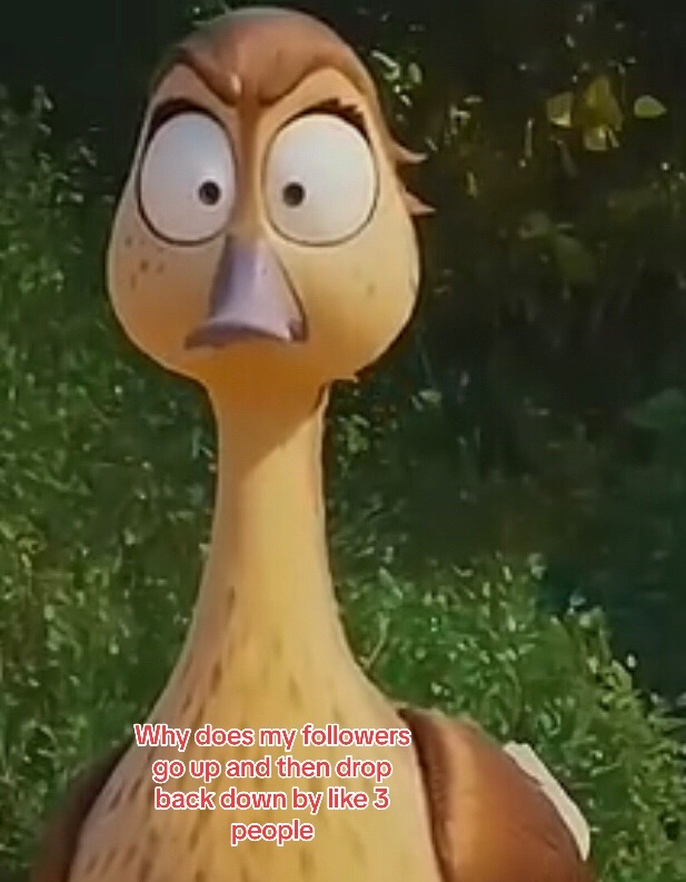 @Yonni—>
